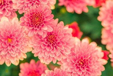 Fine perfumery in the form of a spray air freshener