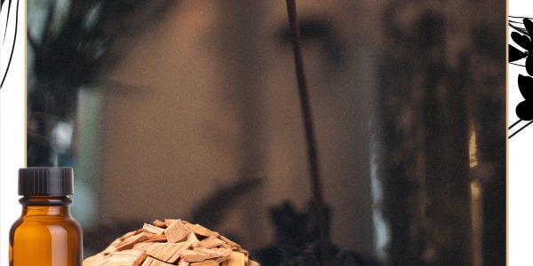 El sandalo como ingredientes en nuestros perfumes a granel