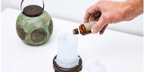 Esencias para ambientadores eléctricos: ¿Cuál se adapta mejor a ti?