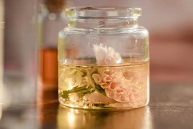 Los Perfumes Más Vendidos en 2024