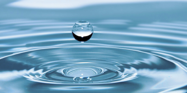 Diferencias entre perfume, eau de parfum y eau de toilette