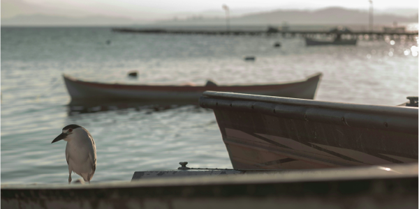 Perfumes para el día vs. la noche: cómo hacer la elección correcta