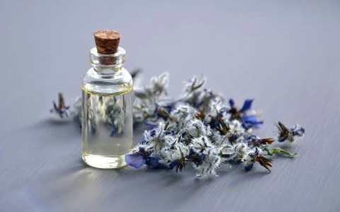 Fabricantes de perfumes y su industria