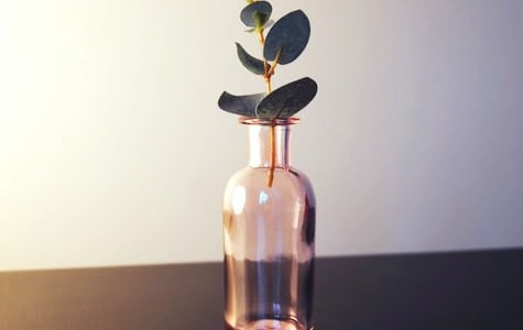 ¿Qué es un perfume unisex? Descubre algunos maravillosos aromas