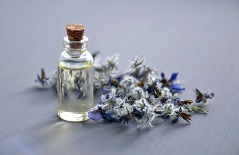 Produttori di profumi e industria del profumo: Tendenze in profumeria