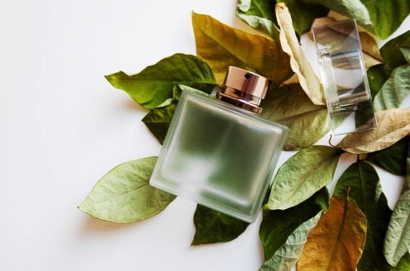 Fragancias ideales para el otoño. Encuentra tu perfume otoñal ideal
